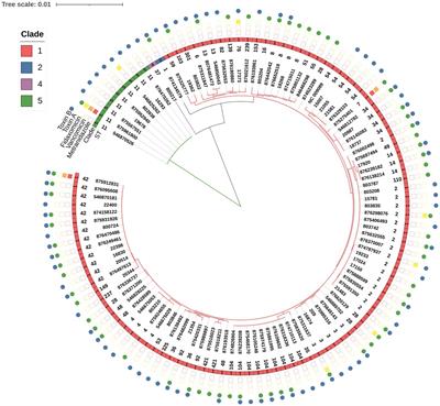 Characterization of community-acquired Clostridioides difficile strains in Israel, 2020–2022